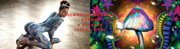 герыч Россошь
