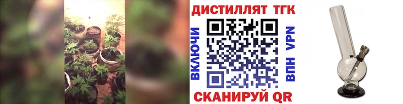 купить закладку  Гурьевск  Дистиллят ТГК концентрат 