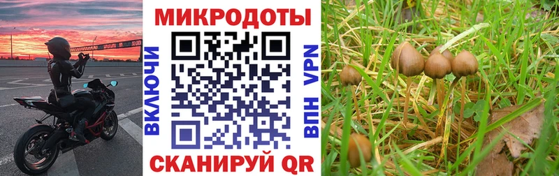 МЕГА   Гурьевск  Галлюциногенные грибы Magic Shrooms 