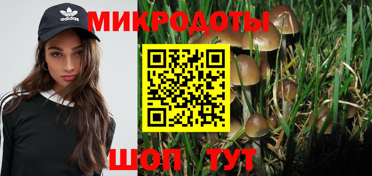 Гурьевск  хочу   Вход с VPN  Псилоцибиновые грибы прущие грибы 