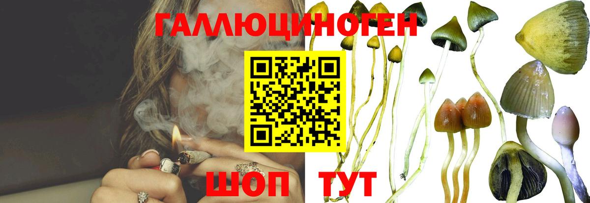 Псилоцибиновые грибы GOLDEN TEACHER Гурьевск
